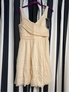 J. Crew Champagne Silk V-Neck Mini Dress